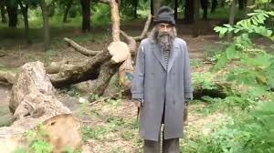 Это мой гриб я его ем с бомжом Это мой гриб