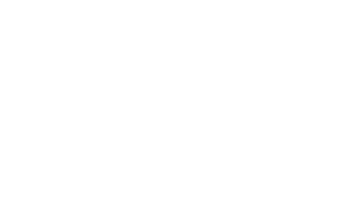   Our Last Night