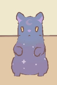 Night Sky Shorthair