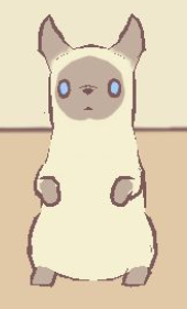Сиамская кошка