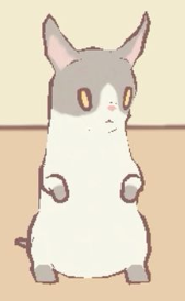 Корниш-рекс