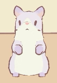 Rainbow Shorthair