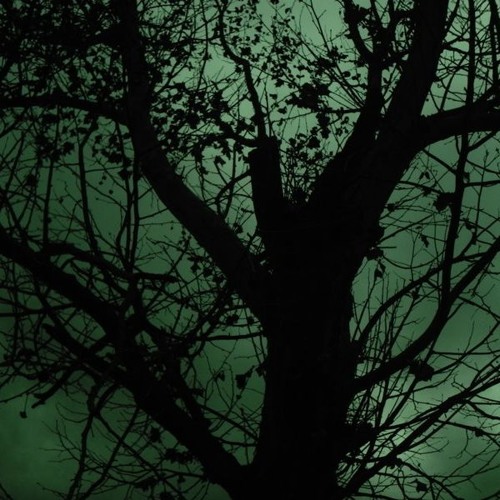 Черное дерево на фоне зеленого неба