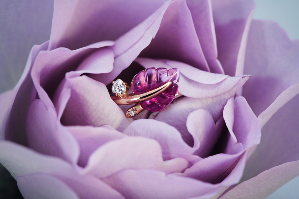 Pandora Wonderland