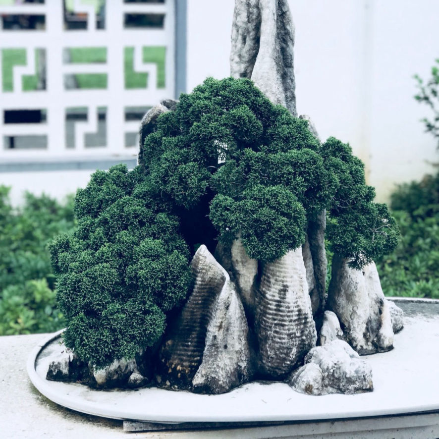 Автор фотографии: Gang Jiang