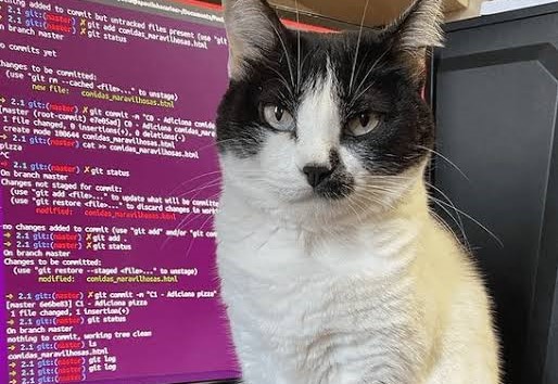 Пример вёрстки страницы с помощью HTML и CSS
