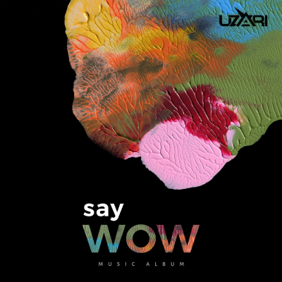 Изображение обложки альбома «Say Wow»