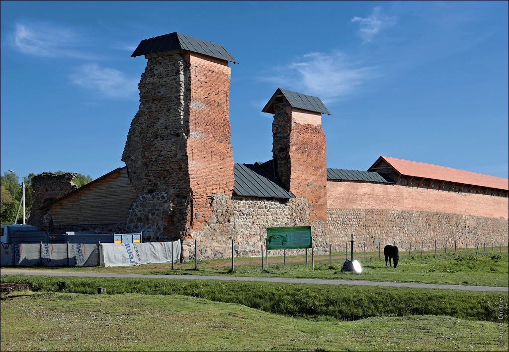 Каменные стены и башня Кревского замка Руины Кревского замка в агрогородке Крево