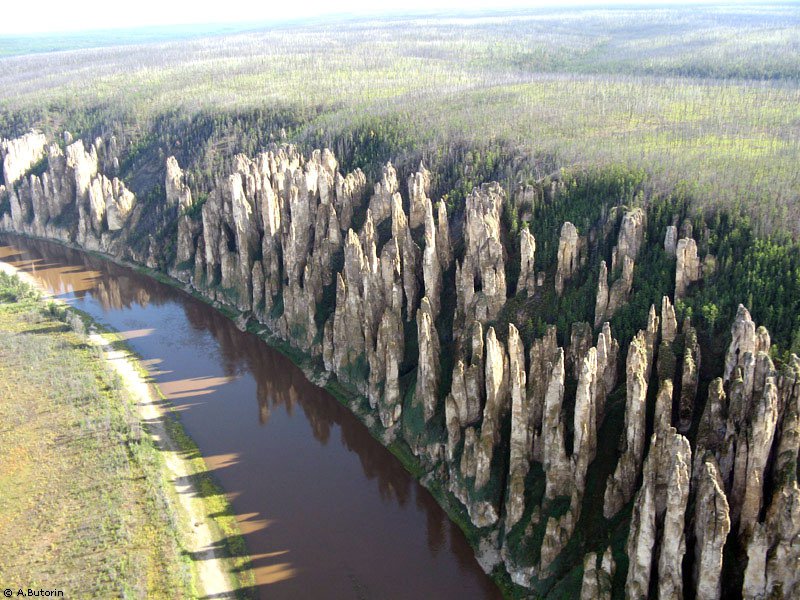 Каменный лес Сибири